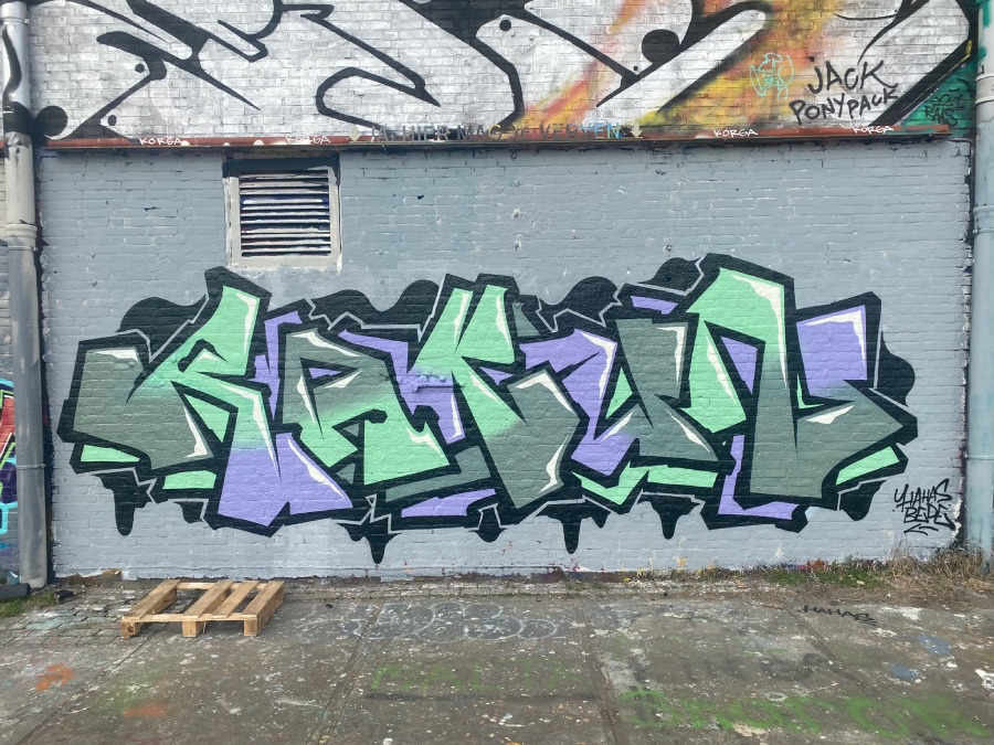 rakun, ndsm, graffiti, amsterdam